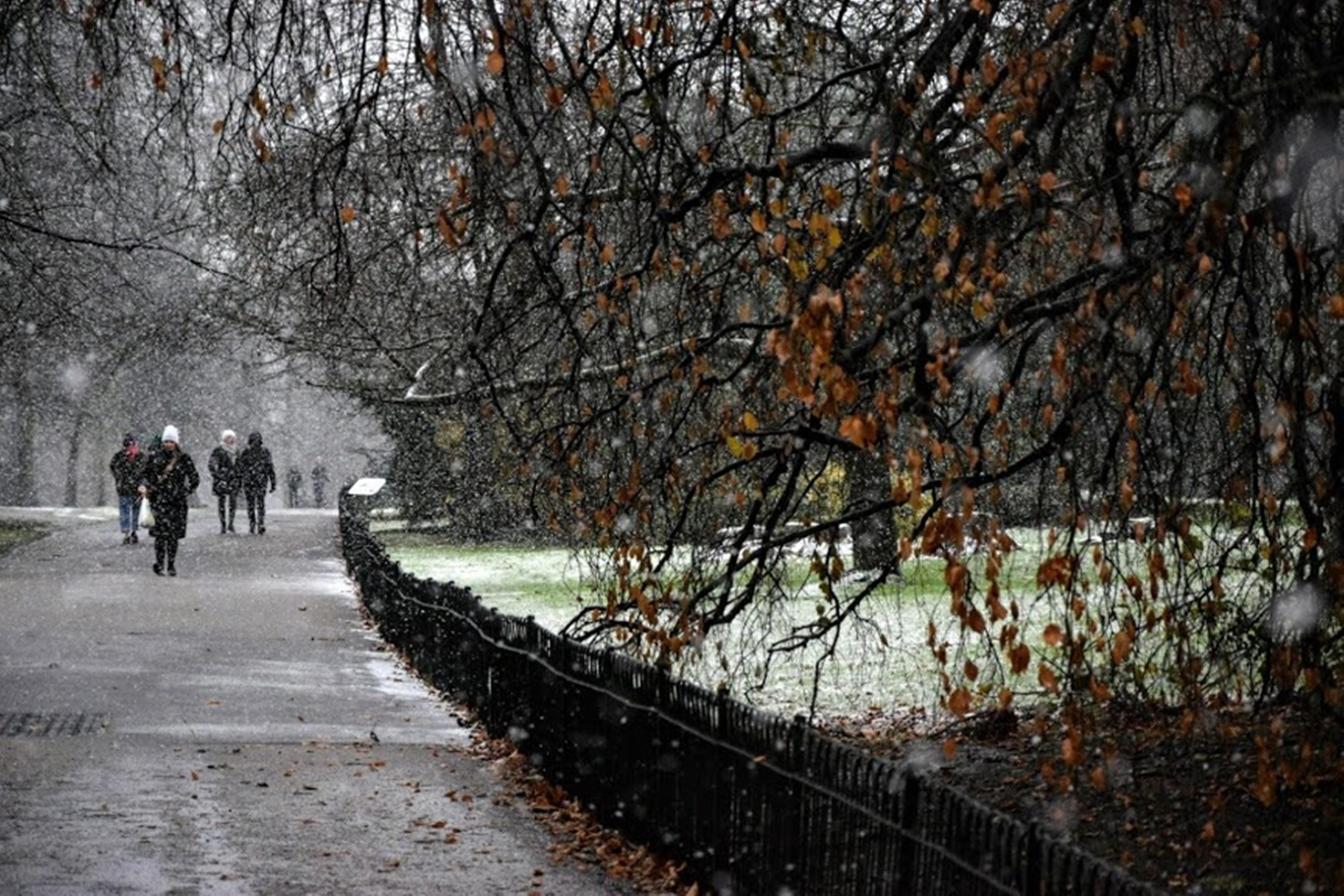 Lancaster Hall Hotel Londra Dış mekan fotoğraf
