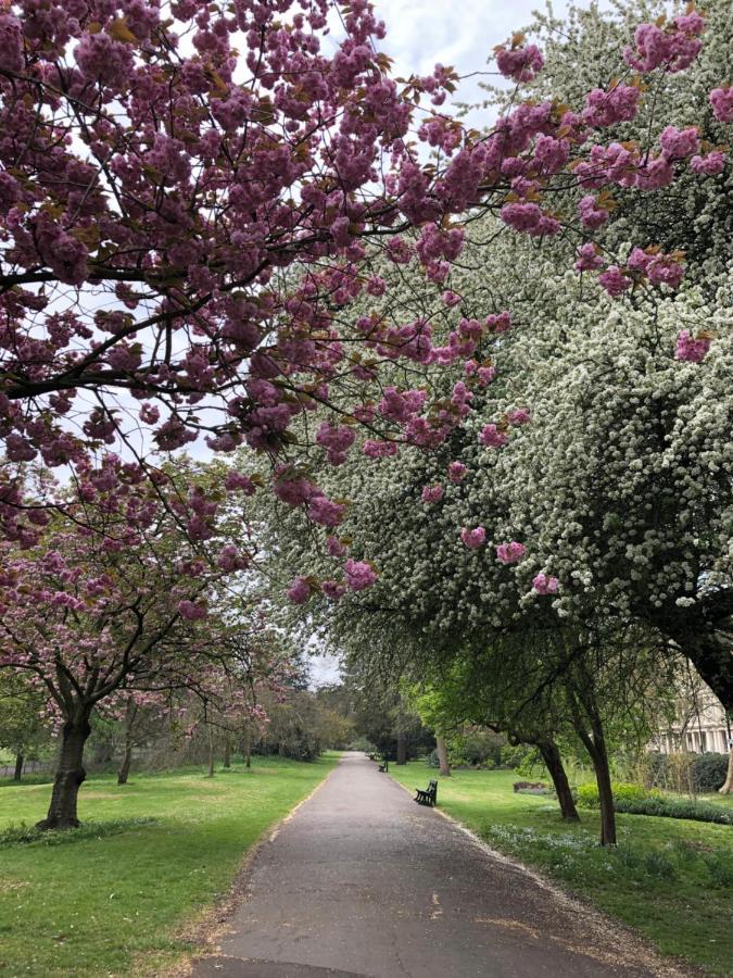 Lancaster Hall Hotel Londra Dış mekan fotoğraf